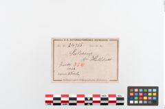 Etiketten zu Bronzebrillenfibel (NHMW-PRAE-024755)